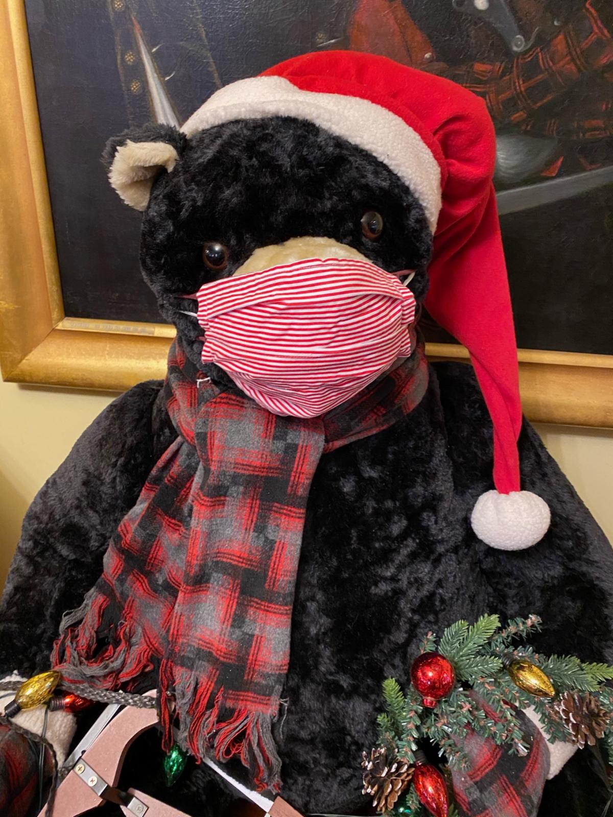 Christmas Bear with Mask
